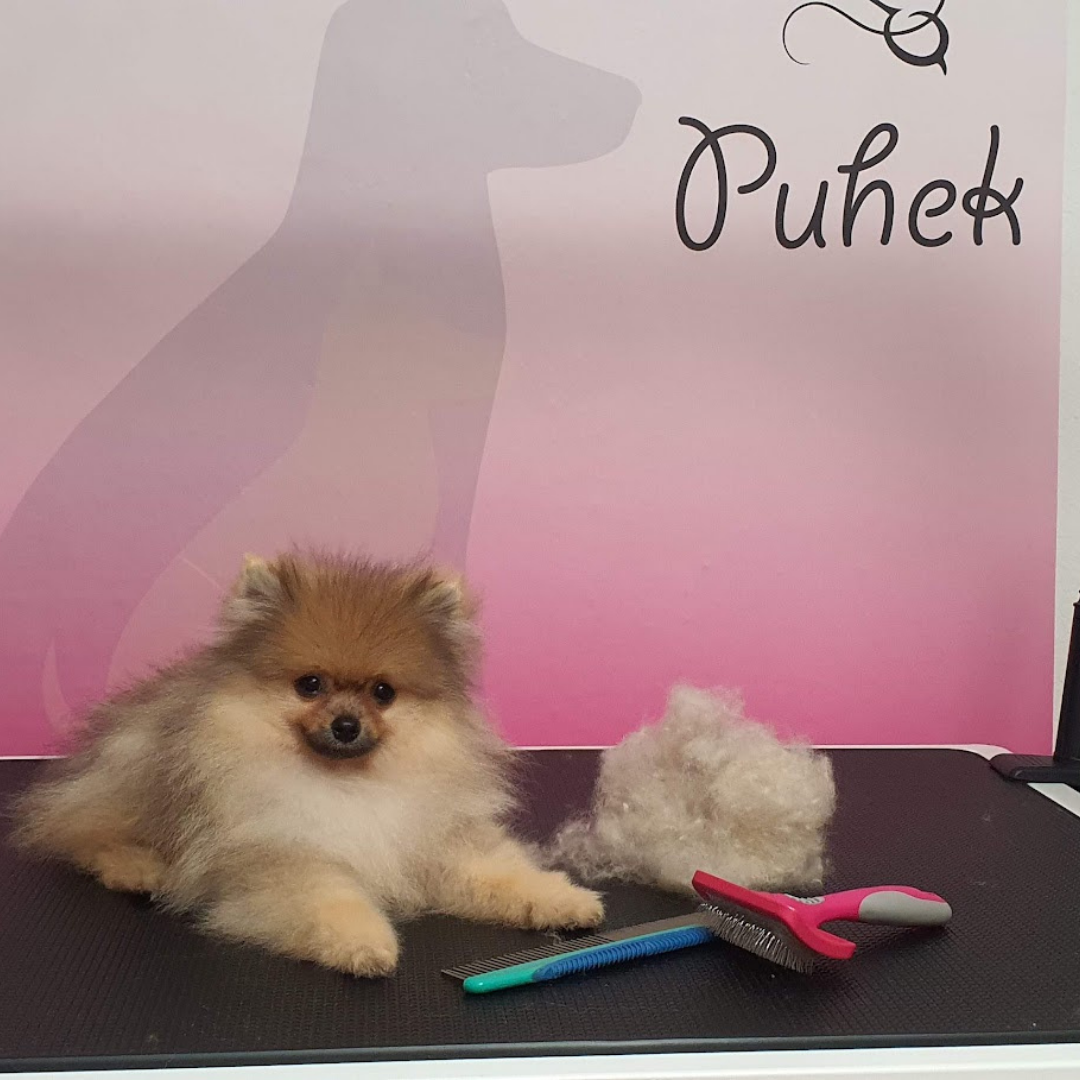 Izdelek brez naslova 3