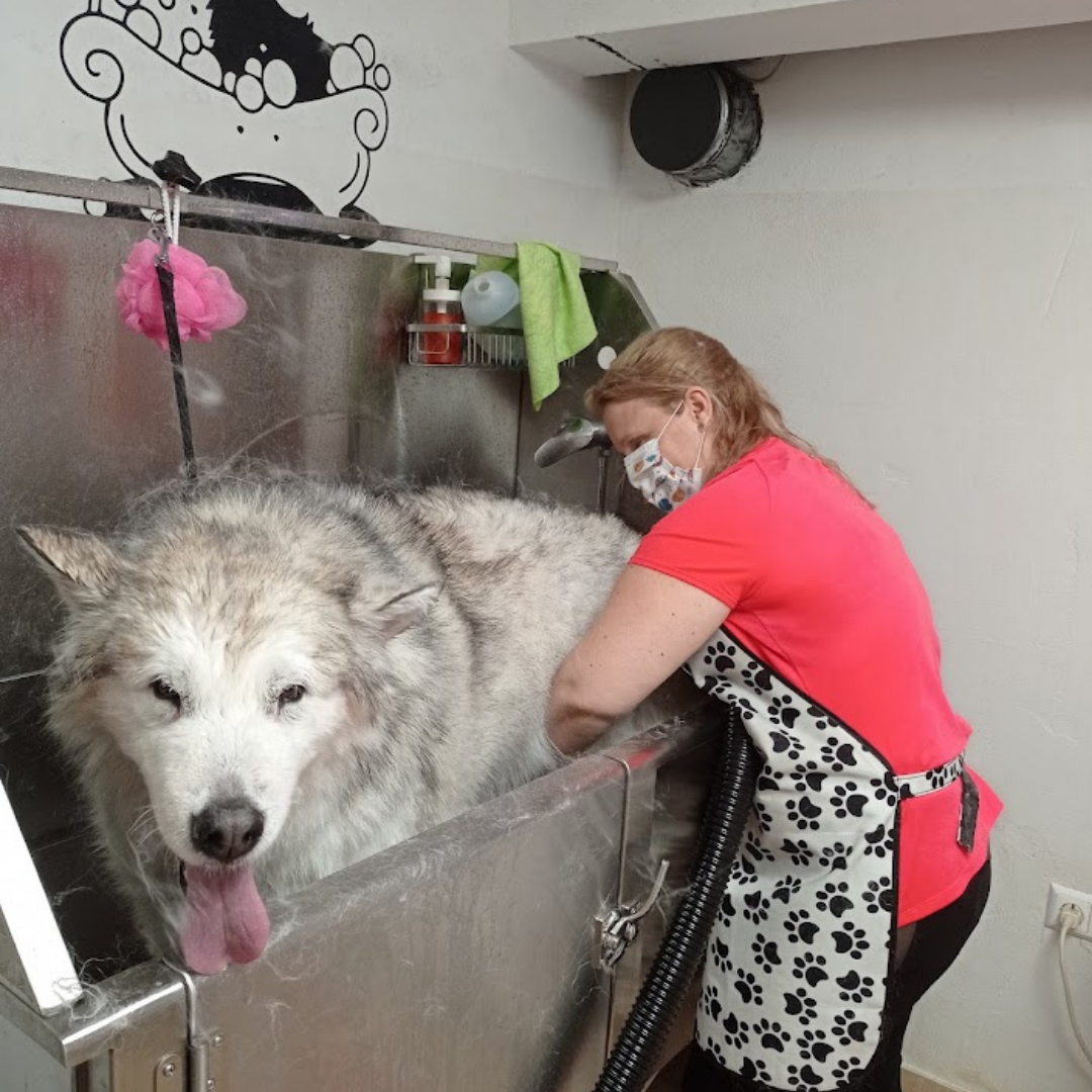 Izdelek brez naslova 5