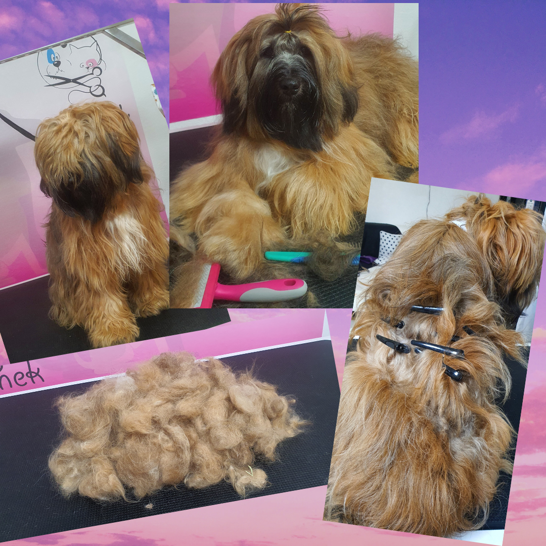 Izdelek brez naslova 7